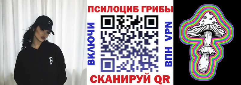 darknet телеграм  купить закладку  Чусовой  Галлюциногенные грибы Cubensis 