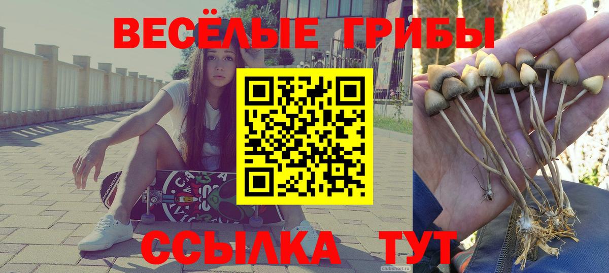 Галлюциногенные грибы GOLDEN TEACHER  Вход с VPN  Чусовой 