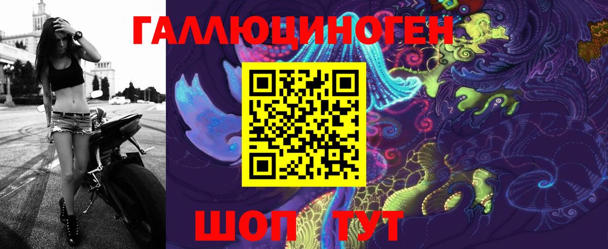 Псилоцибиновые грибы Cubensis Чусовой